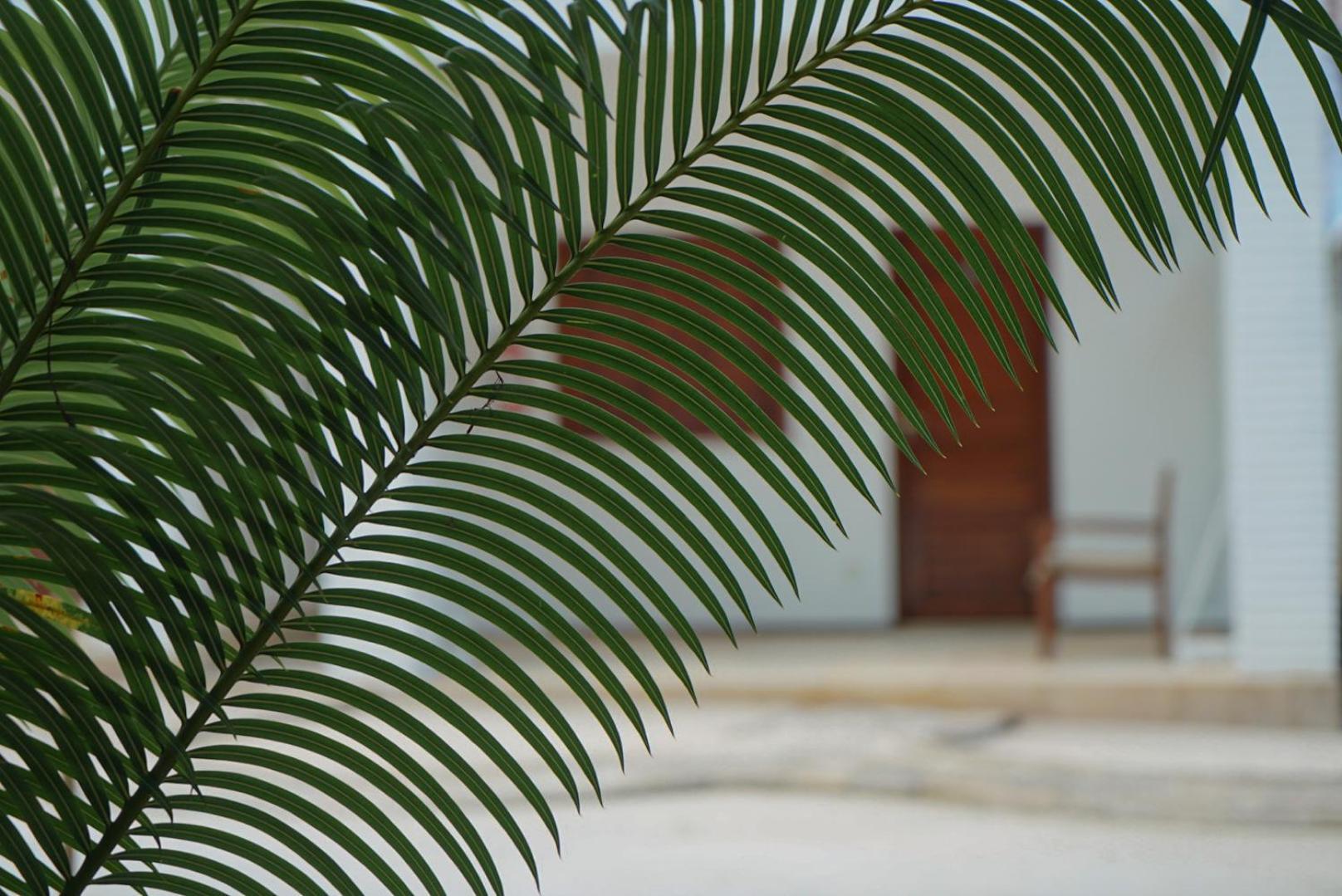Be Caju Hotel Barra Grande  Dış mekan fotoğraf